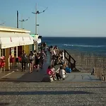 Wolf * Lourinha (Lisbon)